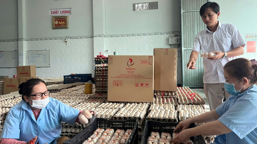 VCCI kiến nghị Bộ Tài chính bãi bỏ 16 ngành, nghề kinh doanh có điều kiện