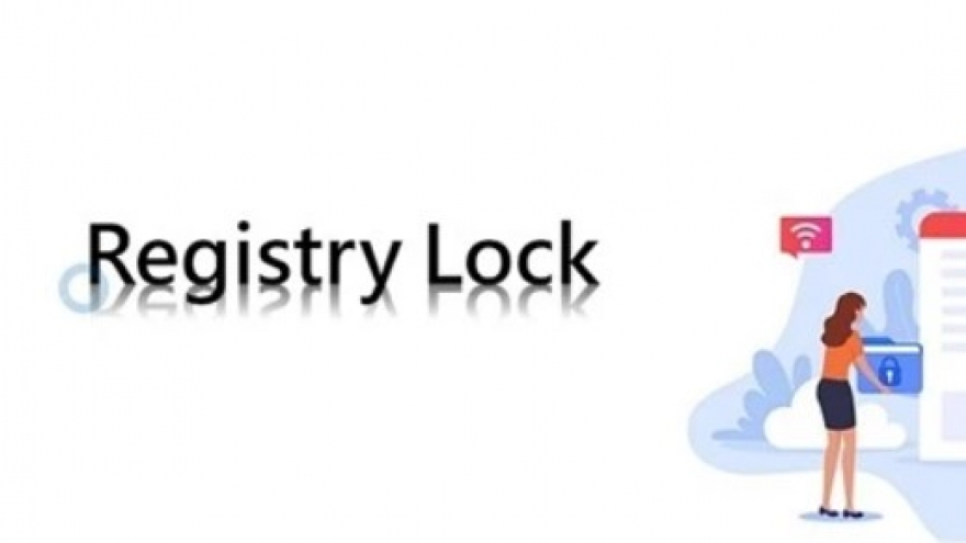 Protecting .vn domain names from risk of illegal appropriation