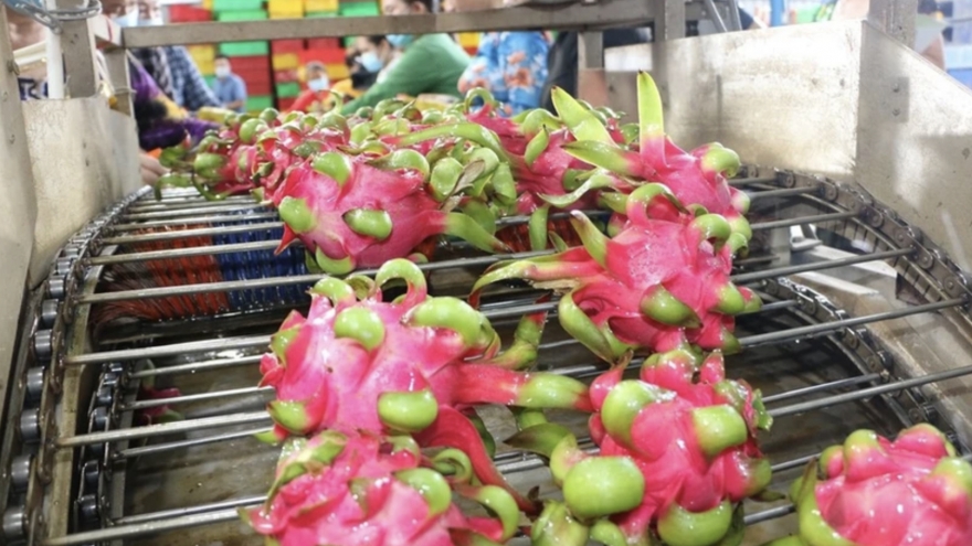 Overseas Vietnamese help Vietnamese products go global