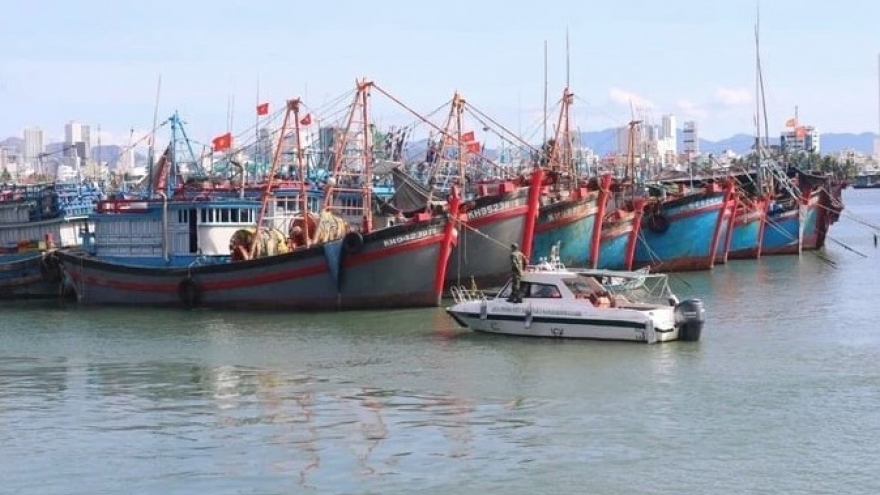 Khanh Hoa tightens control of fishing vessels at sea ports