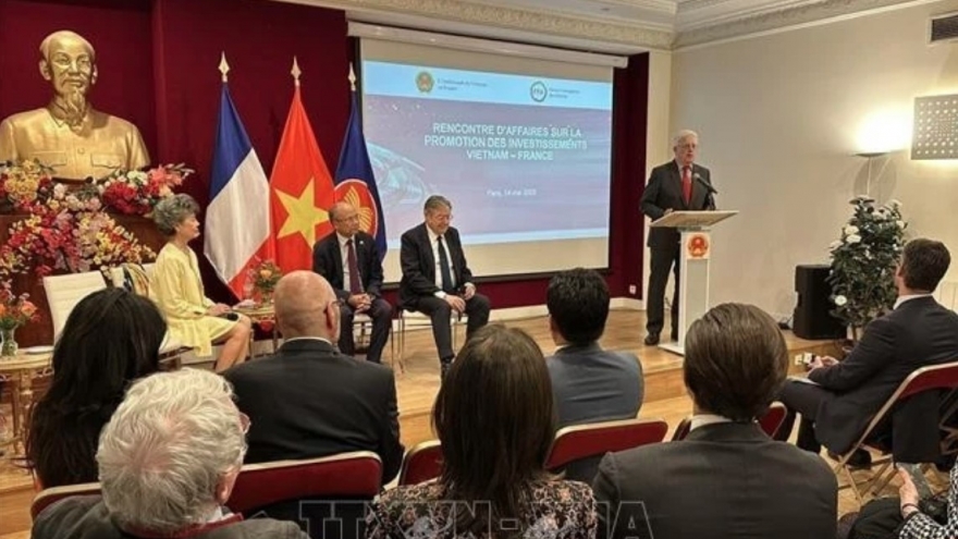 Francophone businesses ready to embrace new investment opportunities in Vietnam