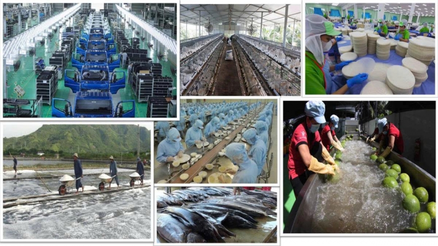 Phát triển kinh tế tư nhân: Nếu đã mở cao tốc cần cho số đông đi vào