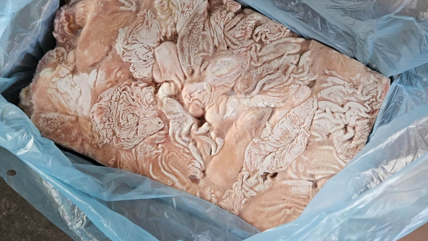 Kiên Giang phát hiện trên 1 tấn bao tử lợn không rõ nguồn gốc, xuất xứ