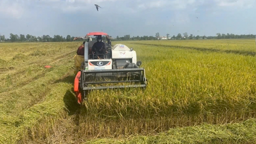 Chuyển đổi xanh – Xu thế tất yếu của doanh nghiệp nhỏ và vừa