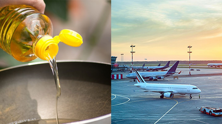 Đầu tư phát triển các loại nhiên liệu mới - Tham vọng chiến lược của Nhật Bản