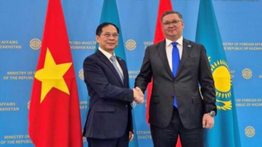 Phó Thủ tướng Bùi Thanh Sơn hội kiến Phó Thủ tướng Kazakhstan
