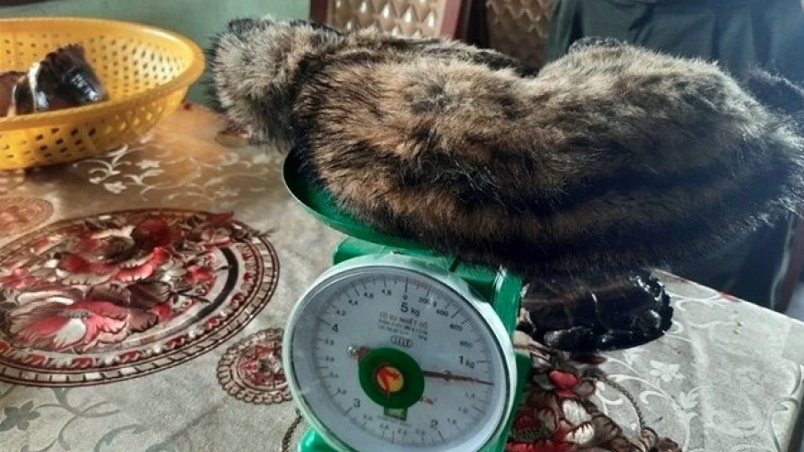 Vietnam removes 10 wildlife trafficking groups from social media