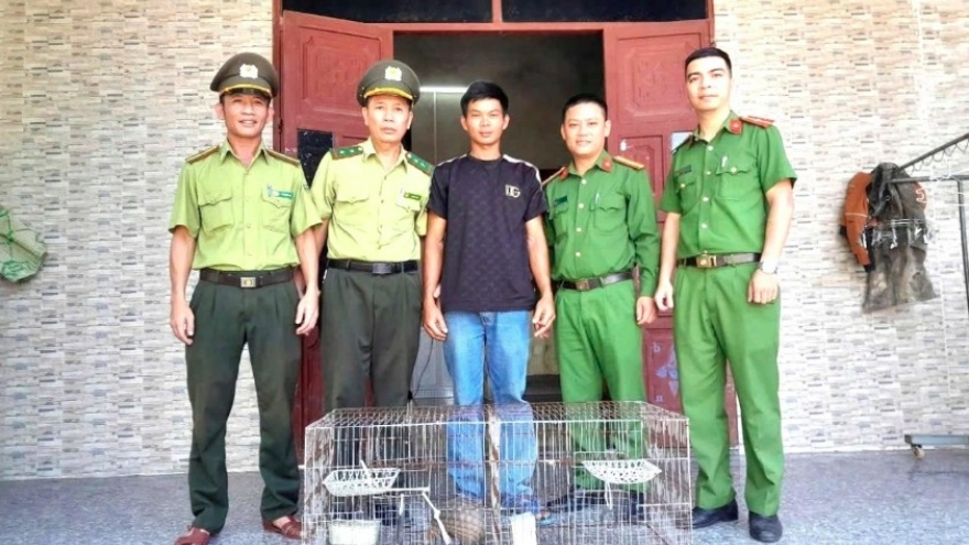 Hue residents voluntarily hand over rare wildlife to forest rangers