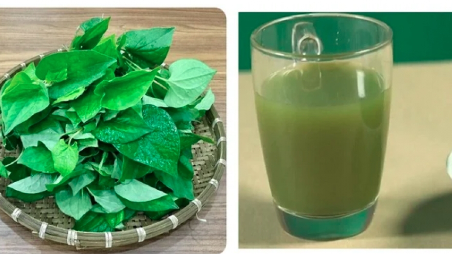 Những người không nên uống nước ép rau diếp cá