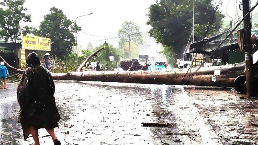 Mưa lớn kèm đá quật ngã cây đè trúng xe cứu thương