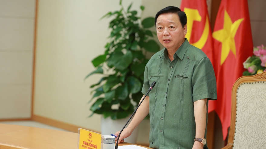 Phó Thủ tướng: Nuôi, trồng dược liệu phải gắn với “giữ dân, giữ rừng”