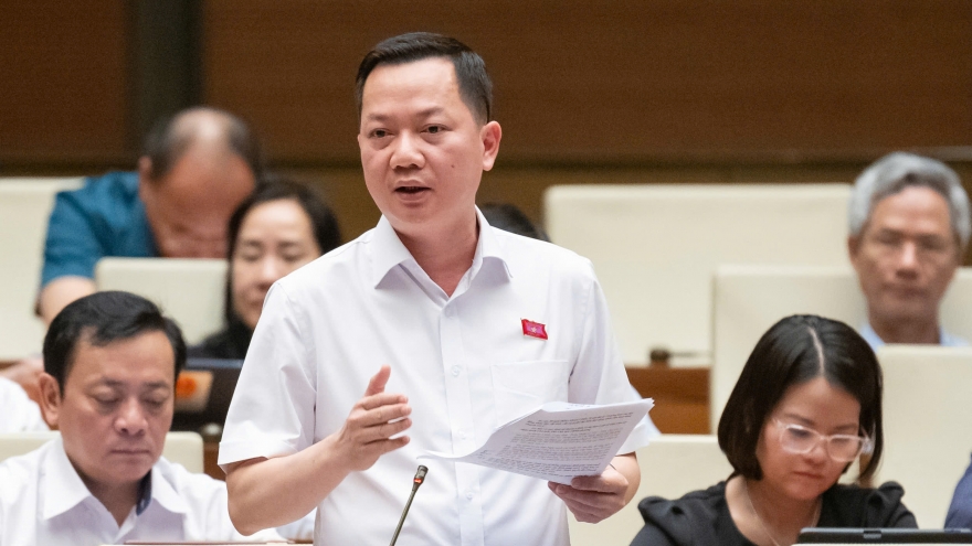 Sữa, thực phẩm chức năng giả chỉ là "phần nổi của tảng băng trôi"