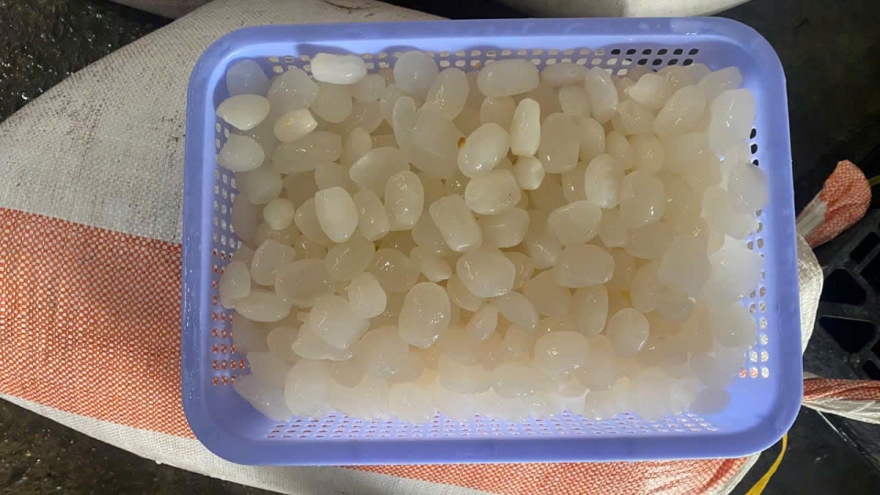 Hơn 1,1 tấn hạt đác không rõ nguồn gốc chuẩn bị tuồn ra thị trường bị thu giữ