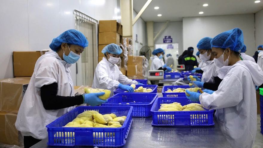 Bộ Công Thương: Kịch bản tăng trưởng 8% cả năm vẫn khả thi