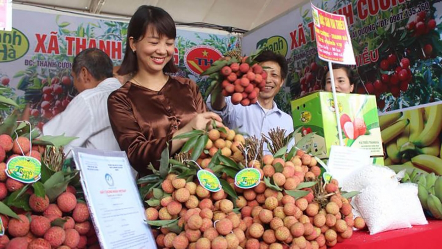 Giá vải thiều 2025 giảm mạnh, sầu riêng lao dốc, nông sản lại “được mùa rớt giá”