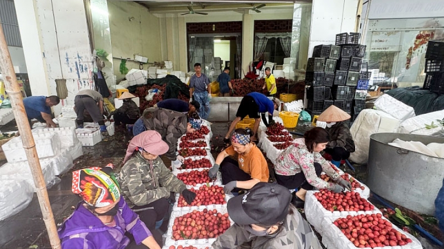 Bắc Giang tiêu thụ hơn 67.000 tấn vải thiều, xuất khẩu hơn 80,3%