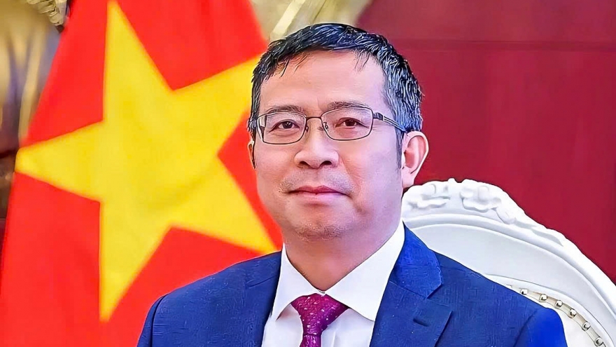 Vietnam eyes deeper cooperation at WEF Tianjin 2025, says Ambassador