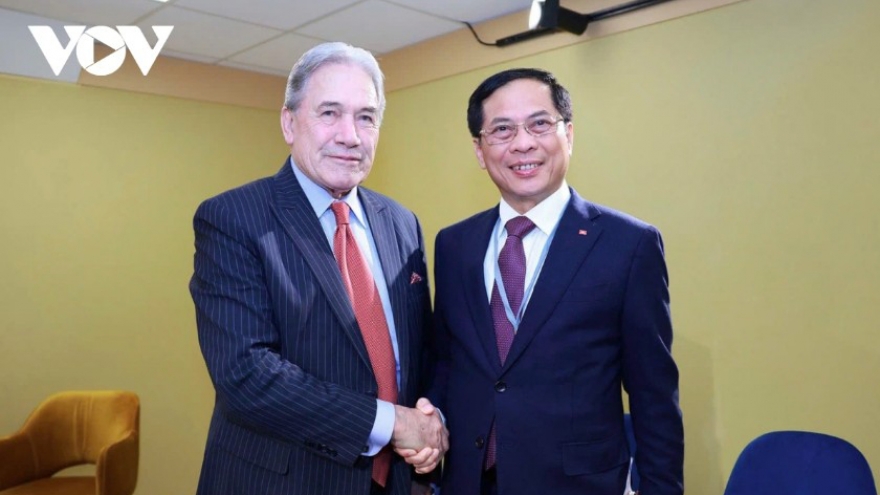 Vietnamese diplomat optimistic about growing ties with New Zealand