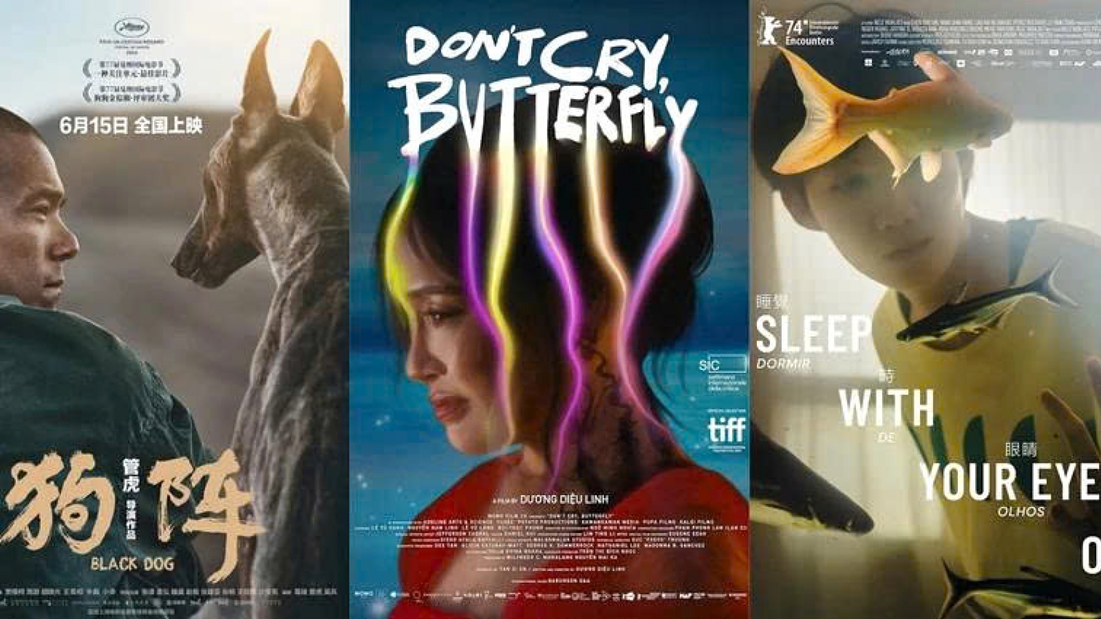 International award-winning films to be screened at DANAFF III