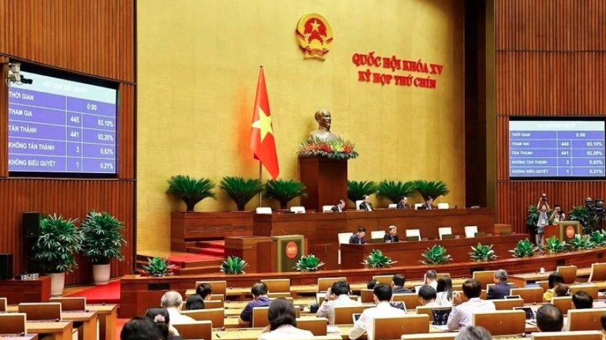 NA Resolution on National Election Council membership approved