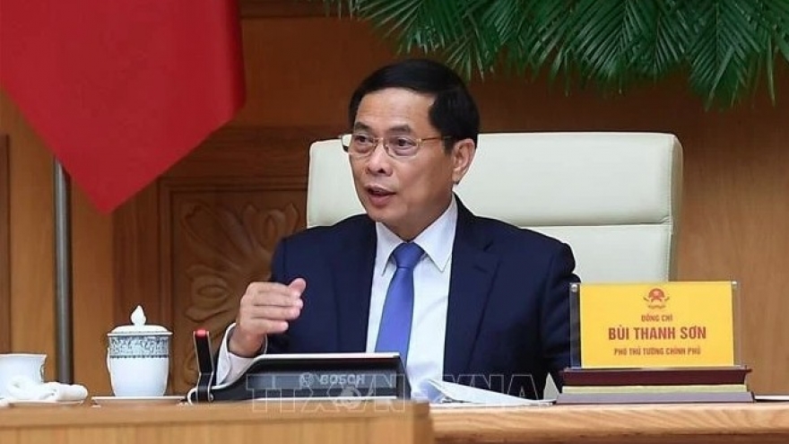 Deputy PM meets with global Vietnamese scientists, experts
