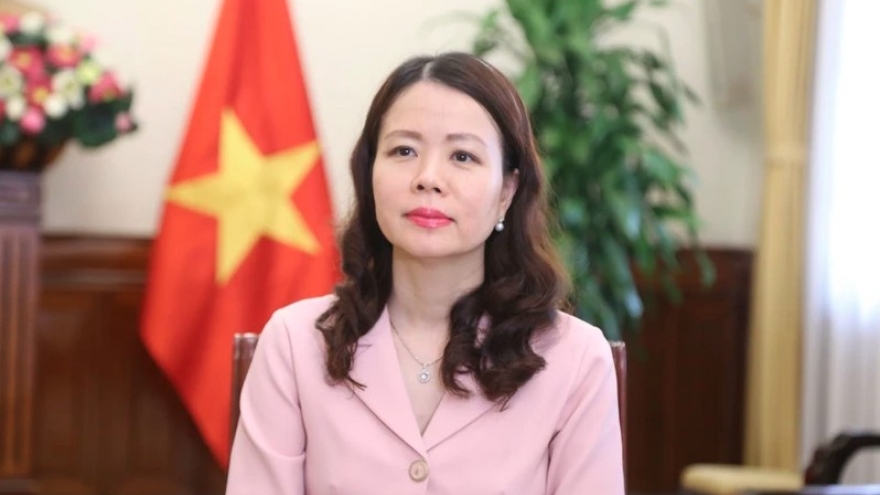 Vietnam actively promotes solutions to regional, global economic, development issues