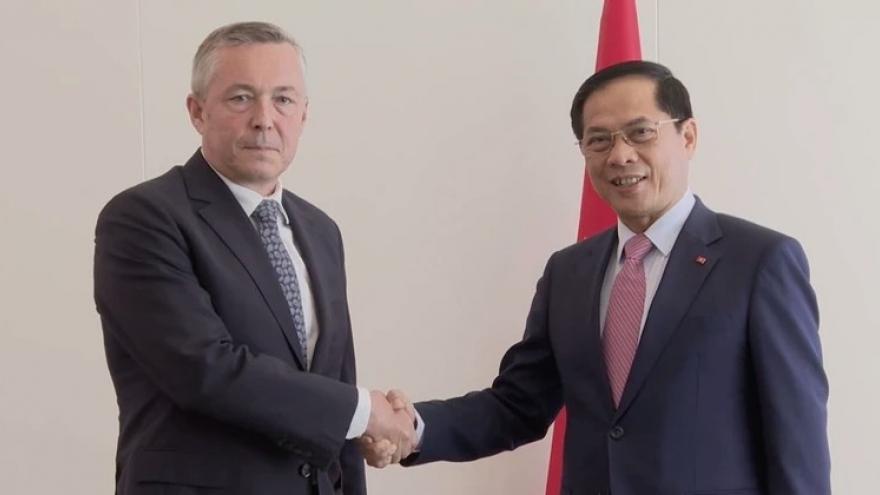 Vietnam, Chile beef up traditional friendship, comprehensive partnership