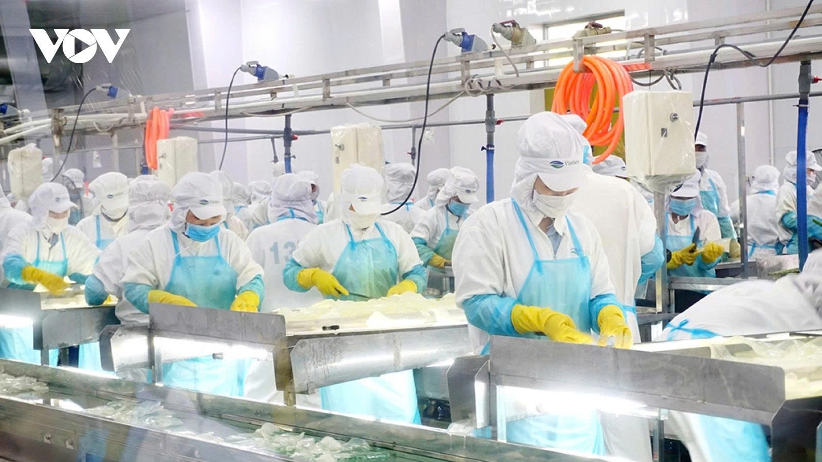 Export businesses develop risk response strategies amid global uncertainties