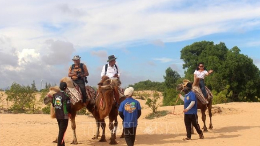 Awakening Binh Thuan's tourism potential through cinema