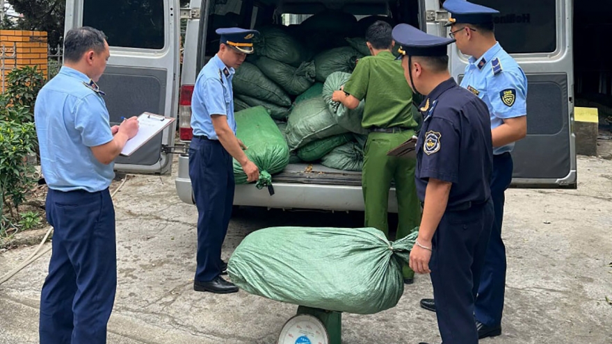 Cao Bằng thu giữ gần 123.000 kg nguyên liệu thuốc lá nhập lậu