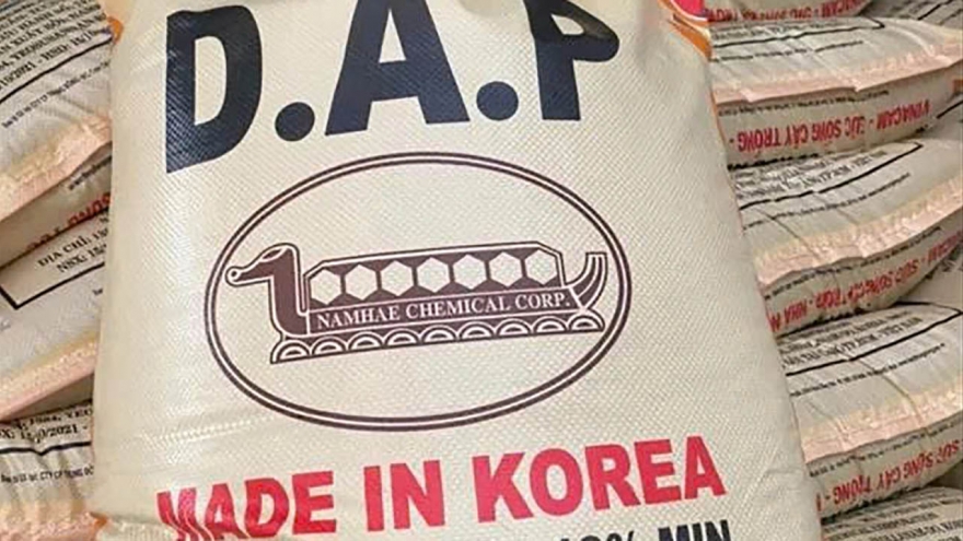 Sầu riêng “lao dốc” và sự im lặng khó hiểu từ cơ quan cấp phép phân bón DAP