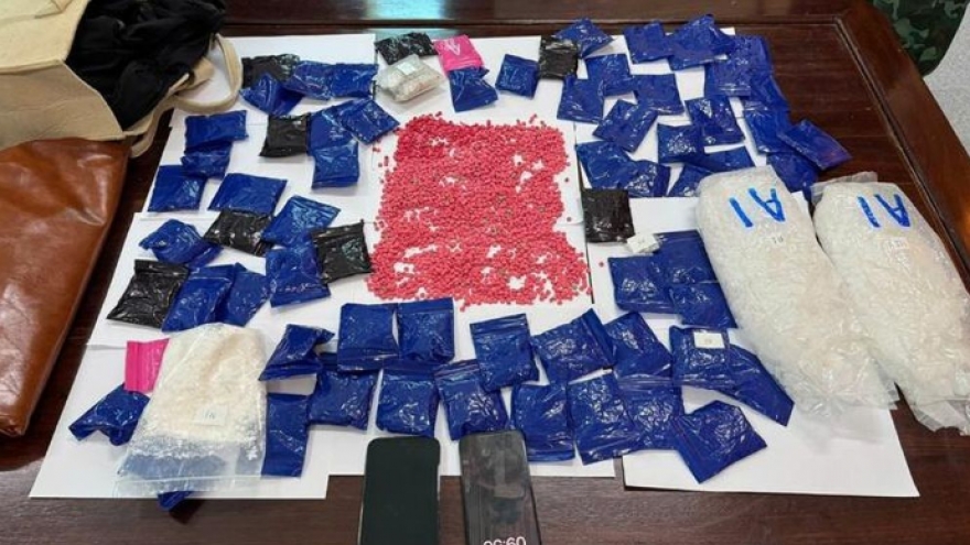 Ha Tinh border guards bust large cross-border drug smuggling case