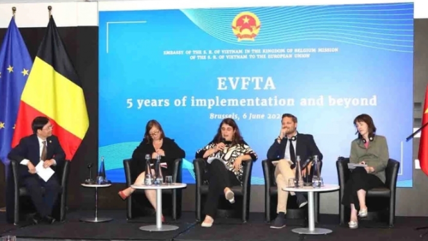 EVFTA helps strengthen strategic trust between Vietnam, EU: Brussels seminar