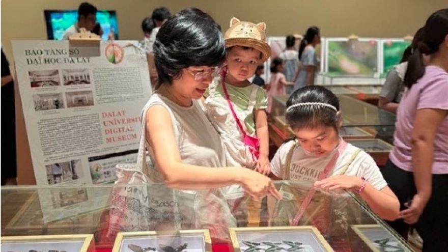 Da Nang exhibition features rare insects endemic to Vietnam