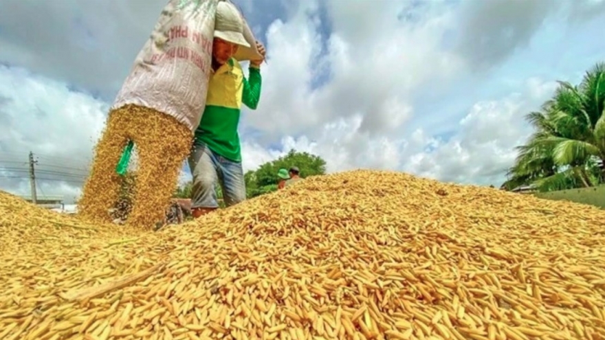 Vietnam to export first batch of low-emission rice