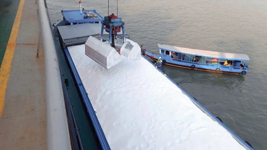 Fertiliser exports – bright spot for Petrovietnam Ca Mau Fertiliser JSC in H1