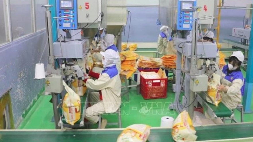Vietnam among world’s most food-self-sufficient nations: study