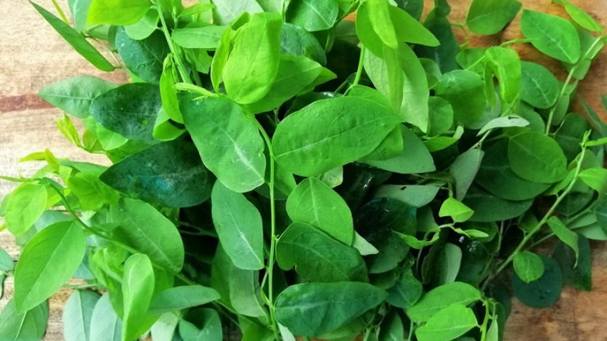 Loại rau “kho chứa sắt” giá chỉ vài nghìn đồng, bán đầy chợ
