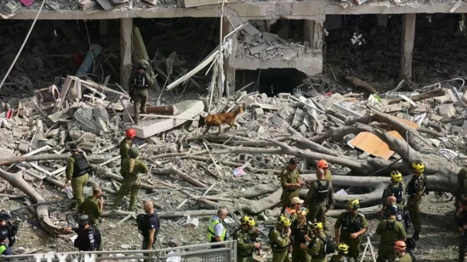 Vietnamese community in Israel safe amid conflict: Embassy