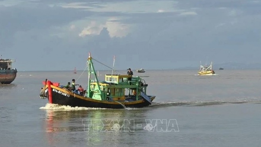 Binh Thuan launches intensive campaign to combat IUU fishing