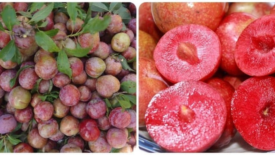 5 nhóm người nên hạn chế ăn quả mận
