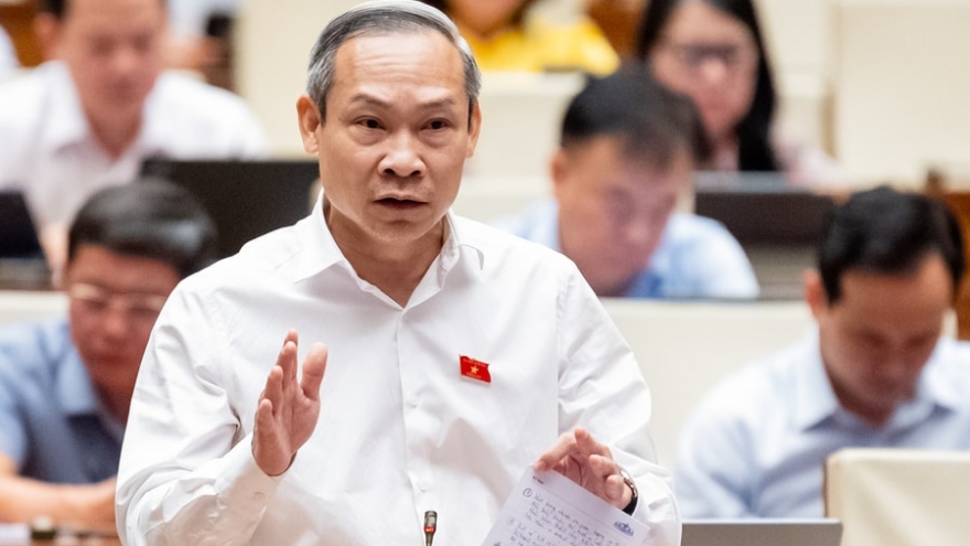 ĐBQH: Hỗ trợ hộ kinh doanh kê khai thuế đến khi làm được thay vì cứ chậm là phạt