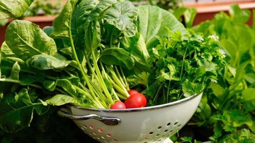Chuyên gia vạch rõ ảo tưởng nhận biết rau có thuốc trừ sâu bằng mắt thường