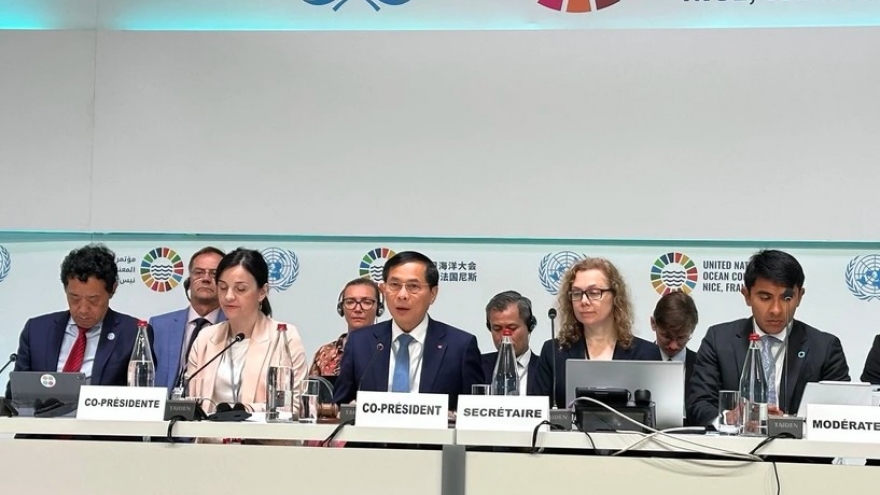 Vietnam co-chairs panel discussion on sustainable fisheries management