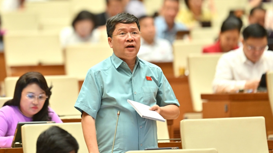 ĐBQH: Khai thuế thu nhập cá nhân mà phải về quê 2 lần vẫn chưa xong