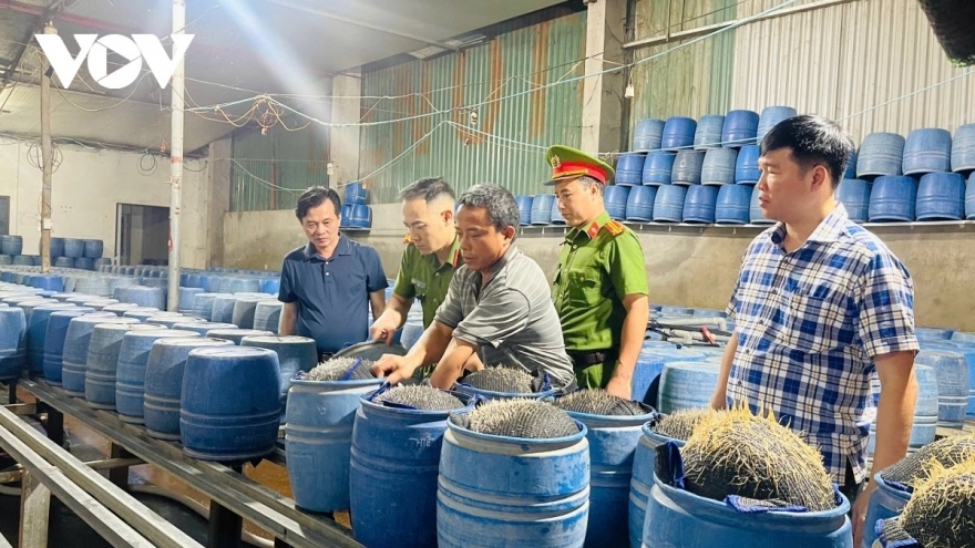 Đủ món trên mâm, nhưng thiếu nhất an toàn thực phẩm