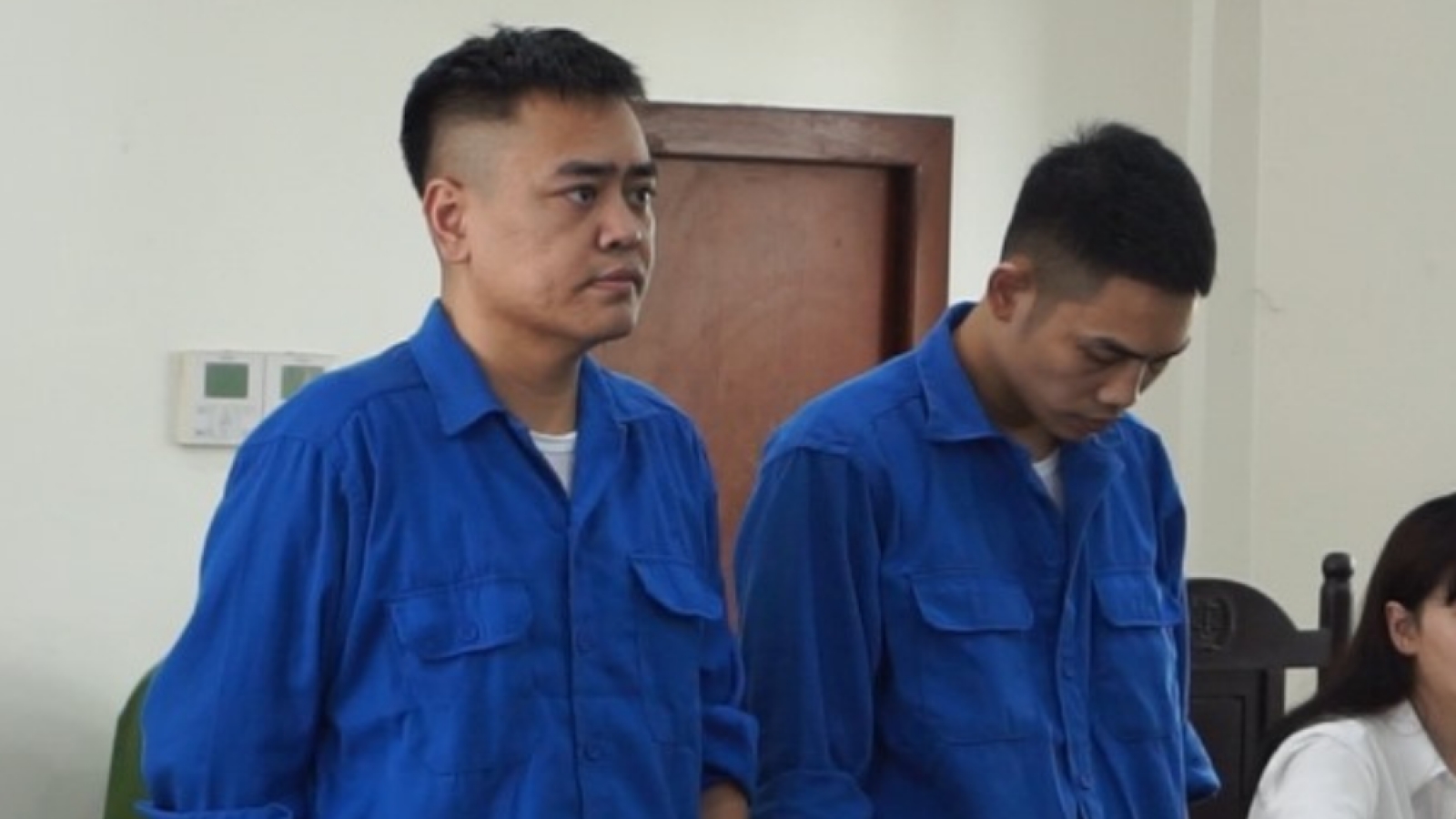 Hai kẻ giao dịch hơn 100kg sừng linh dương lĩnh án phạt tù