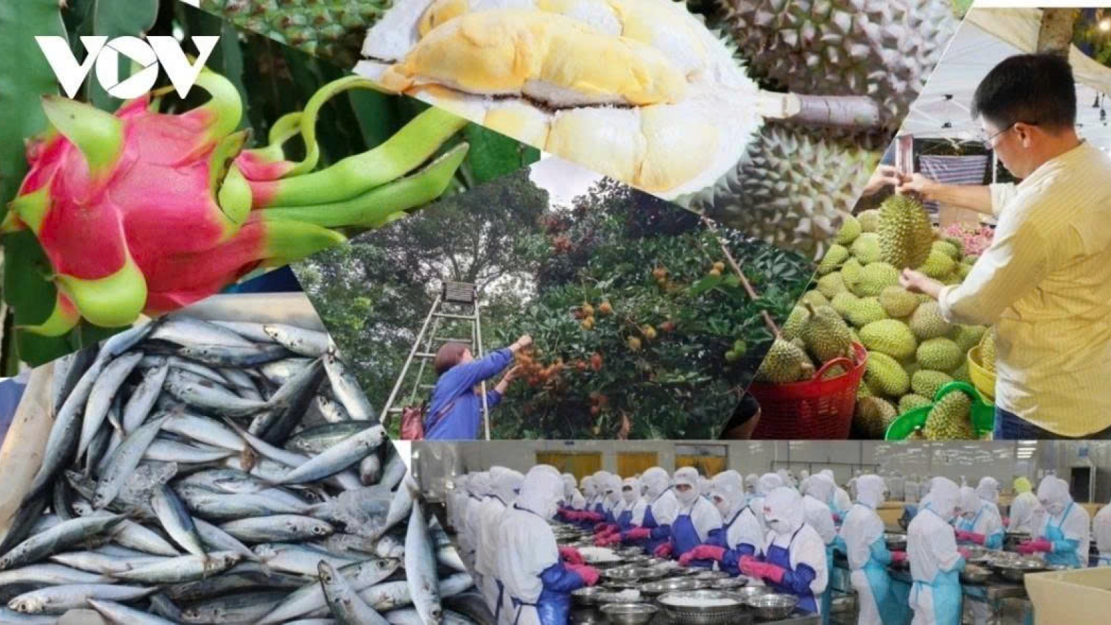 Import-export turnover rises 15% to US$391 billion by mid-June