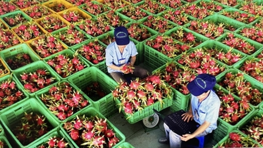 Global uncertainty weighs on Vietnam's economic outlook