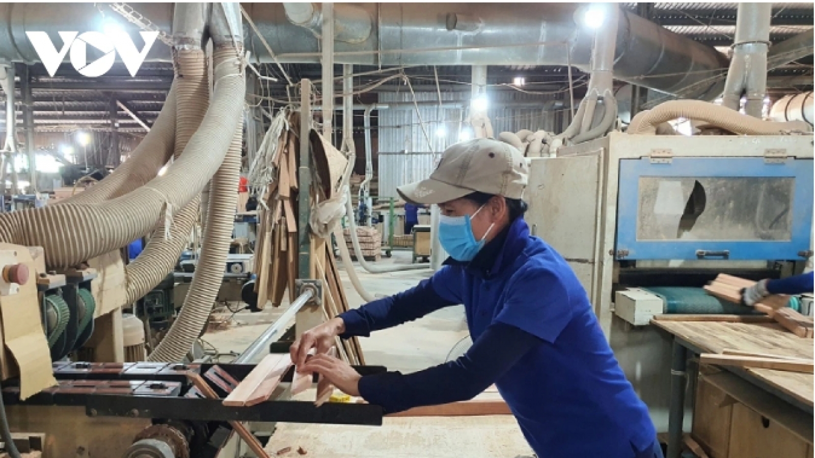 Spain leads growth in Vietnam’s wood exports over five months